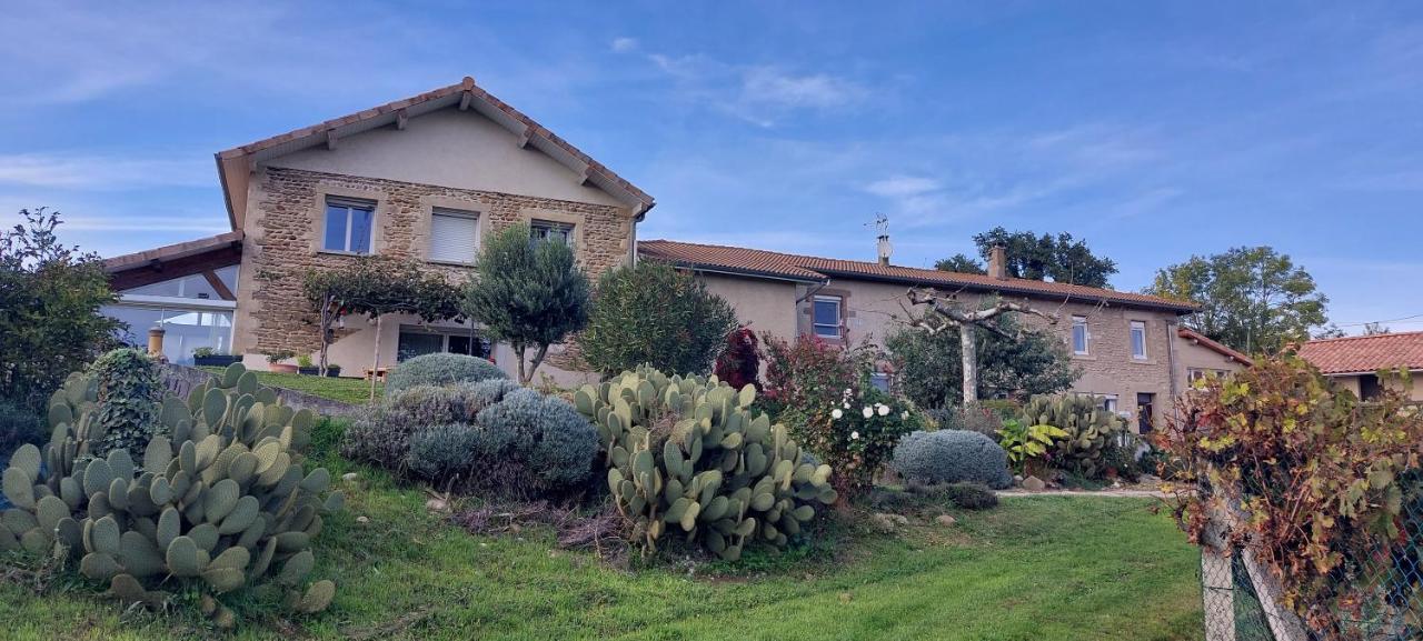 Apartamento Figuets 3 Chateauneuf-de-Galaure Exterior foto